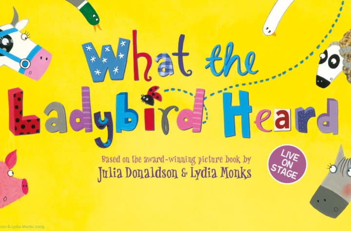 What the Ladybird Heard poster