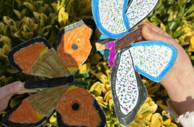 Mini Beasts and Bugs